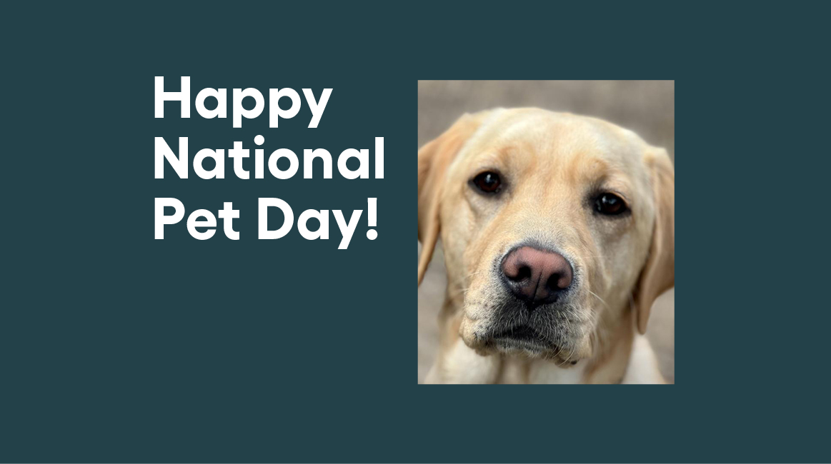 Happy National Pet Day!